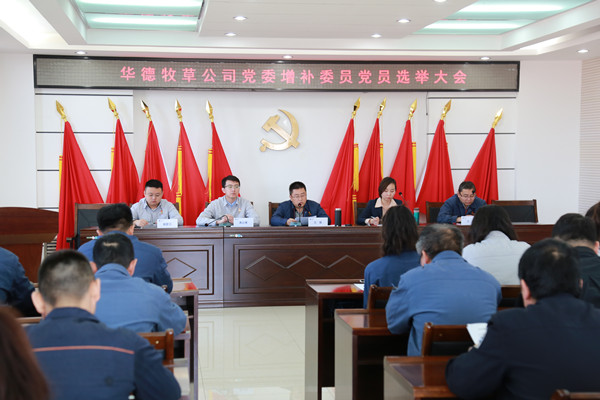 5、黨員大會(huì)_副本.jpg